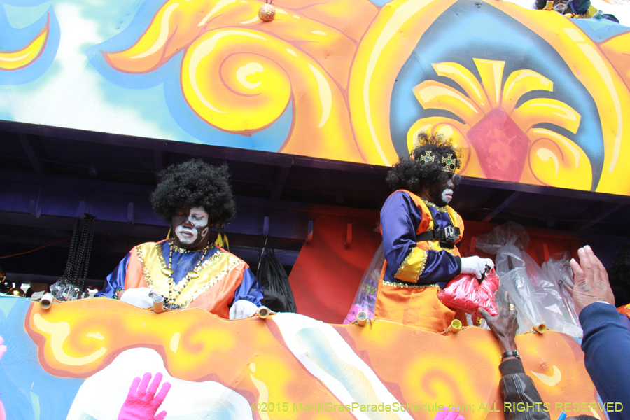 Zulu-Social-Aid-Pleasure-2015-19987