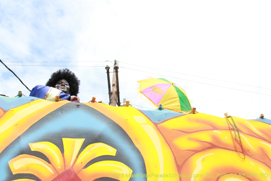 Zulu-Social-Aid-Pleasure-2015-19988