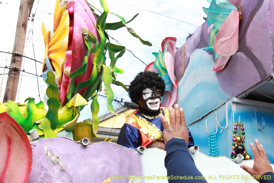 Zulu-Social-Aid-Pleasure-2015-19991