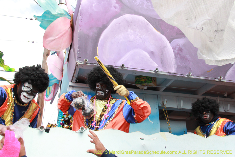 Zulu-Social-Aid-Pleasure-2015-19992