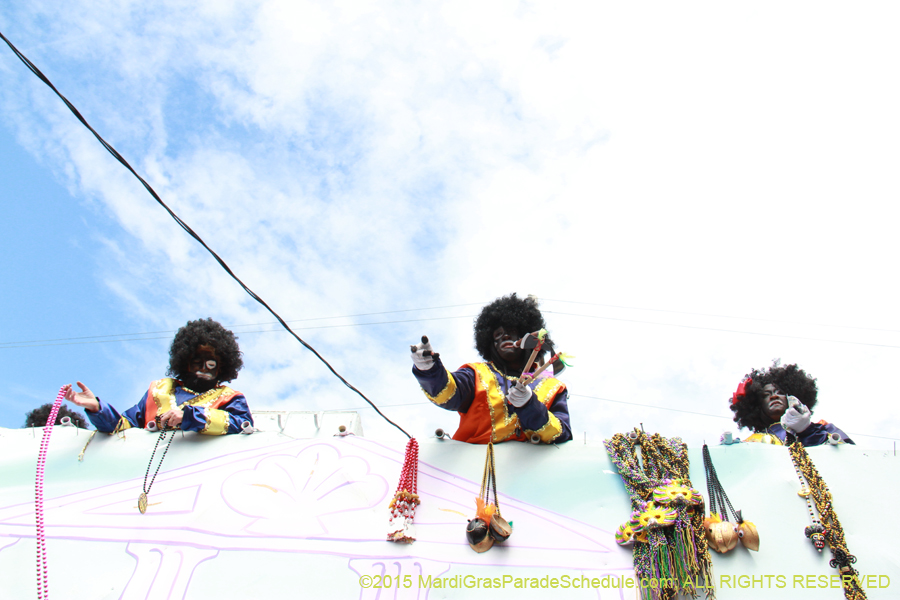 Zulu-Social-Aid-Pleasure-2015-19995