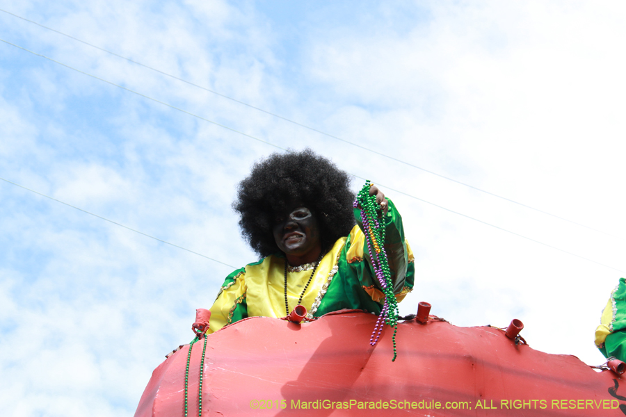 Zulu-Social-Aid-Pleasure-2015-20034