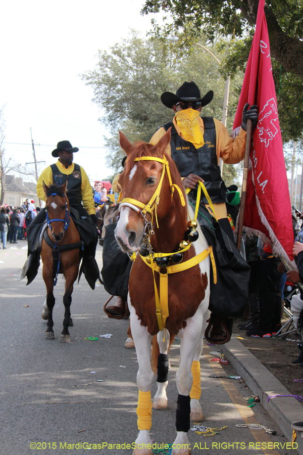 Zulu-Social-Aid-Pleasure-2015-20038