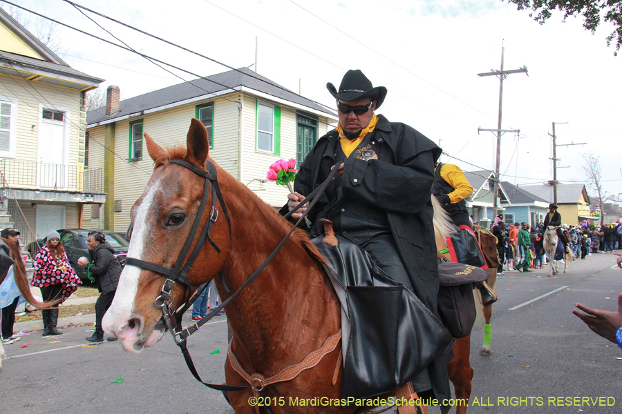 Zulu-Social-Aid-Pleasure-2015-20040