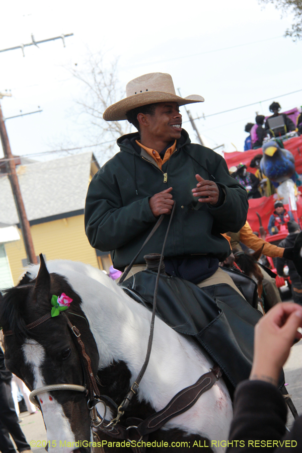 Zulu-Social-Aid-Pleasure-2015-20048