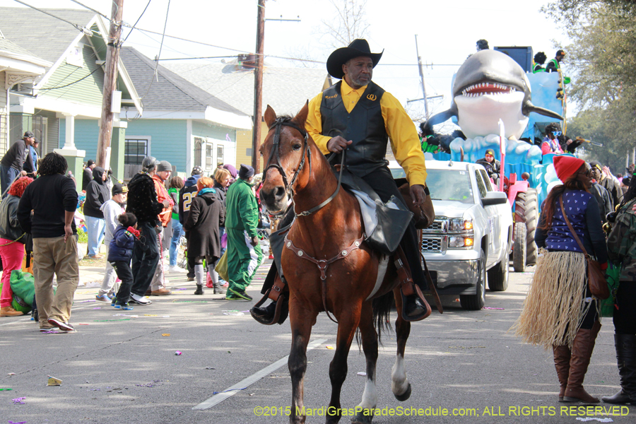 Zulu-Social-Aid-Pleasure-2015-20056