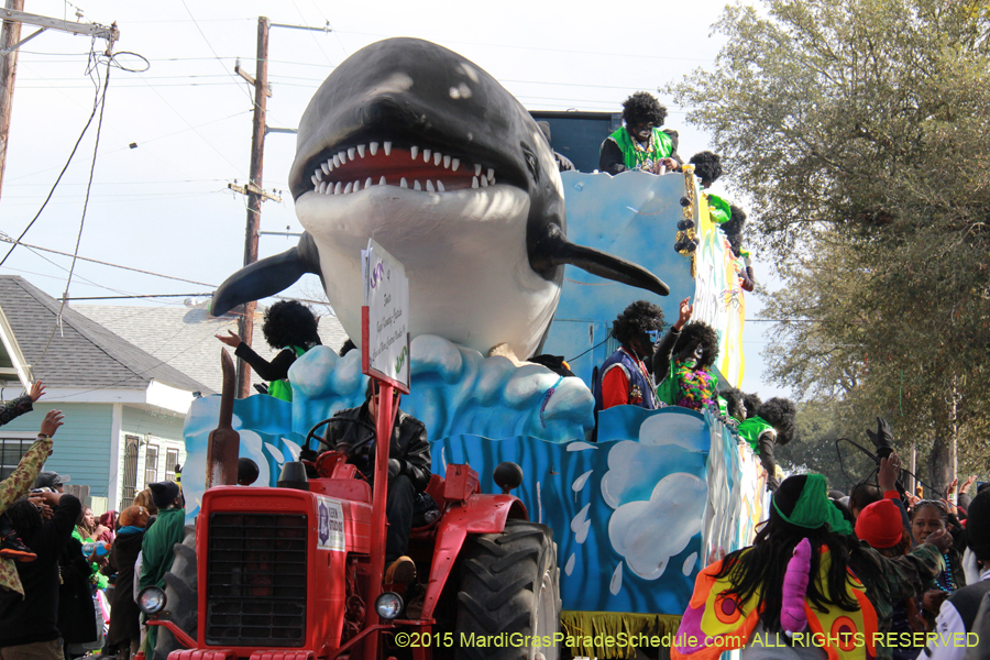 Zulu-Social-Aid-Pleasure-2015-20057