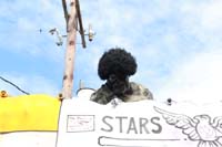 Zulu-Social-Aid-Pleasure-2015-20014