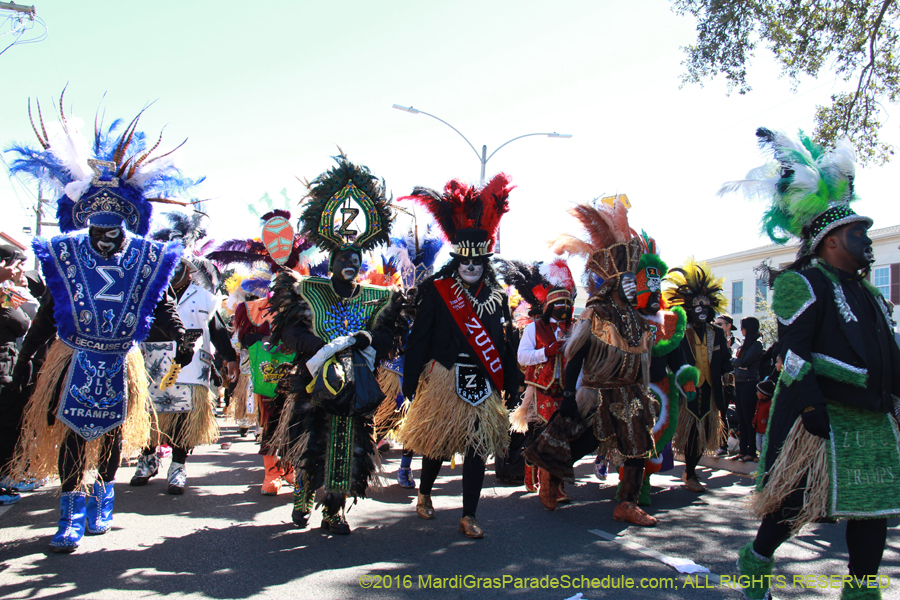 2016-Zulu-Social-Aid-Pleasure-014483