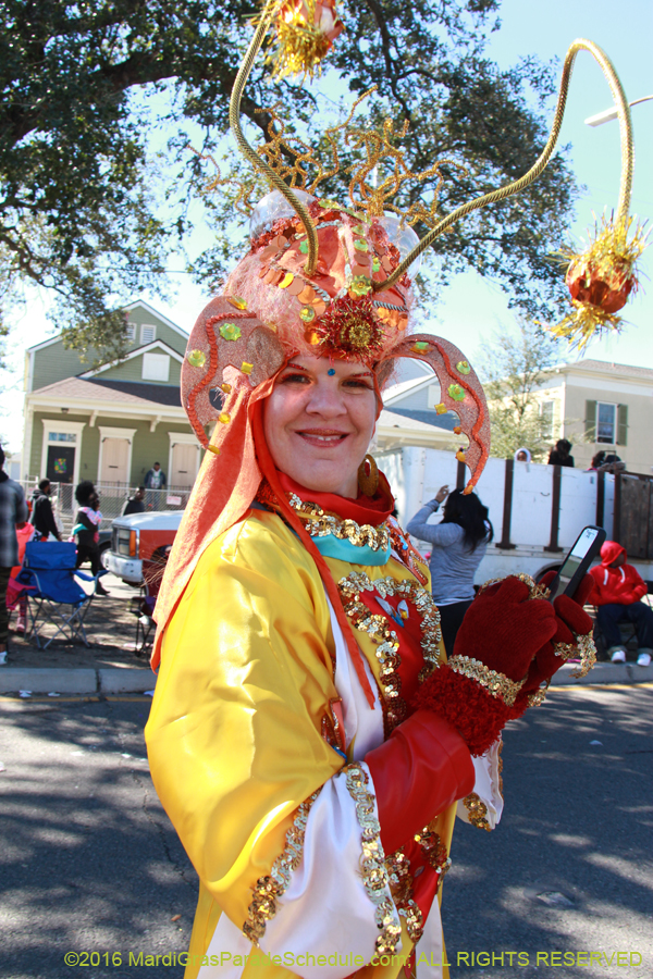 2016-Zulu-Social-Aid-Pleasure-014488