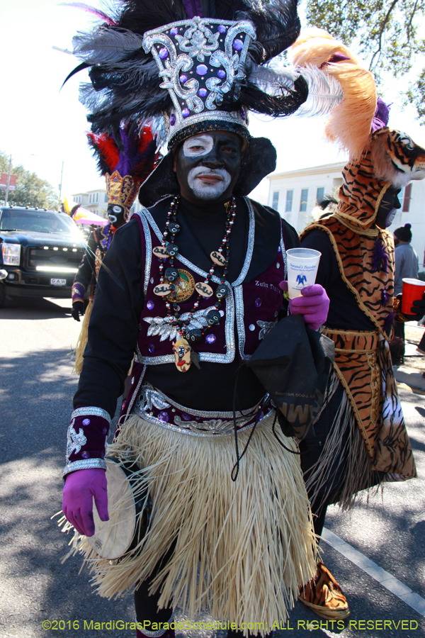 2016-Zulu-Social-Aid-Pleasure-014495