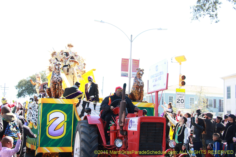 2016-Zulu-Social-Aid-Pleasure-014517