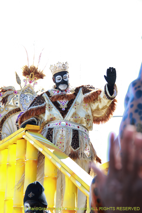 2016-Zulu-Social-Aid-Pleasure-014518