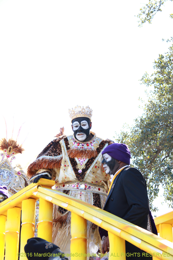 2016-Zulu-Social-Aid-Pleasure-014519