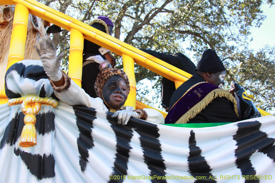 2016-Zulu-Social-Aid-Pleasure-014521