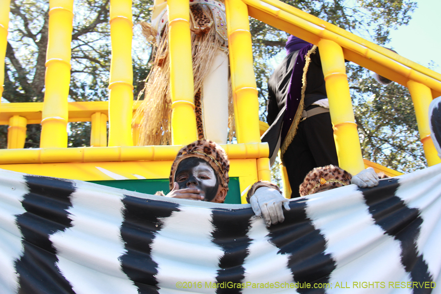 2016-Zulu-Social-Aid-Pleasure-014522