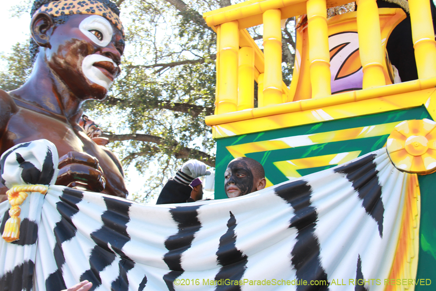 2016-Zulu-Social-Aid-Pleasure-014523