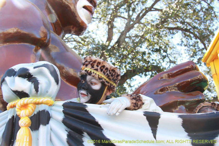 2016-Zulu-Social-Aid-Pleasure-014524