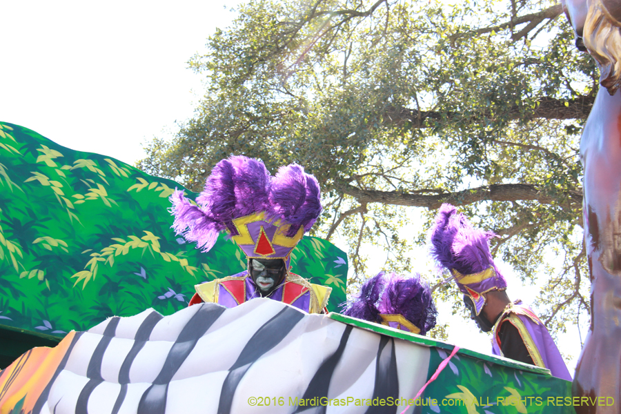 2016-Zulu-Social-Aid-Pleasure-014526