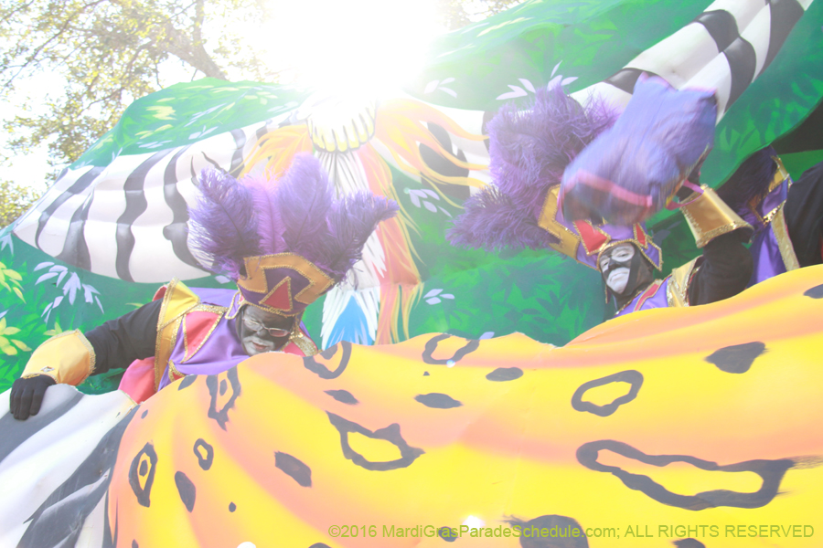 2016-Zulu-Social-Aid-Pleasure-014528