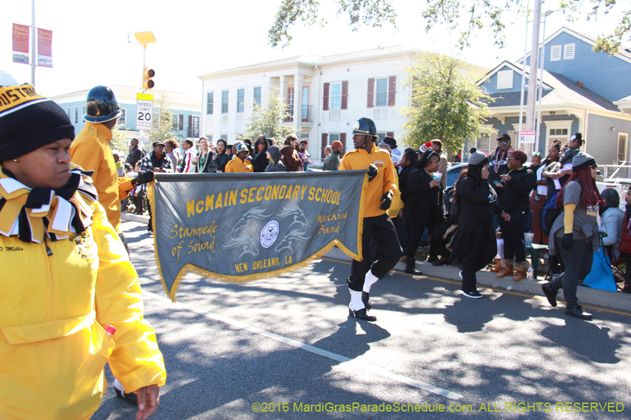 2016-Zulu-Social-Aid-Pleasure-014531