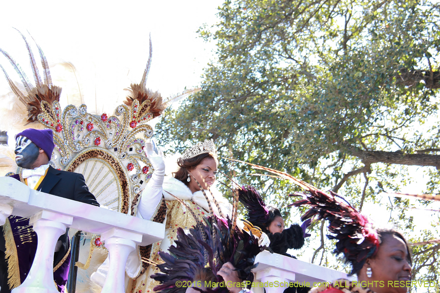 2016-Zulu-Social-Aid-Pleasure-014540