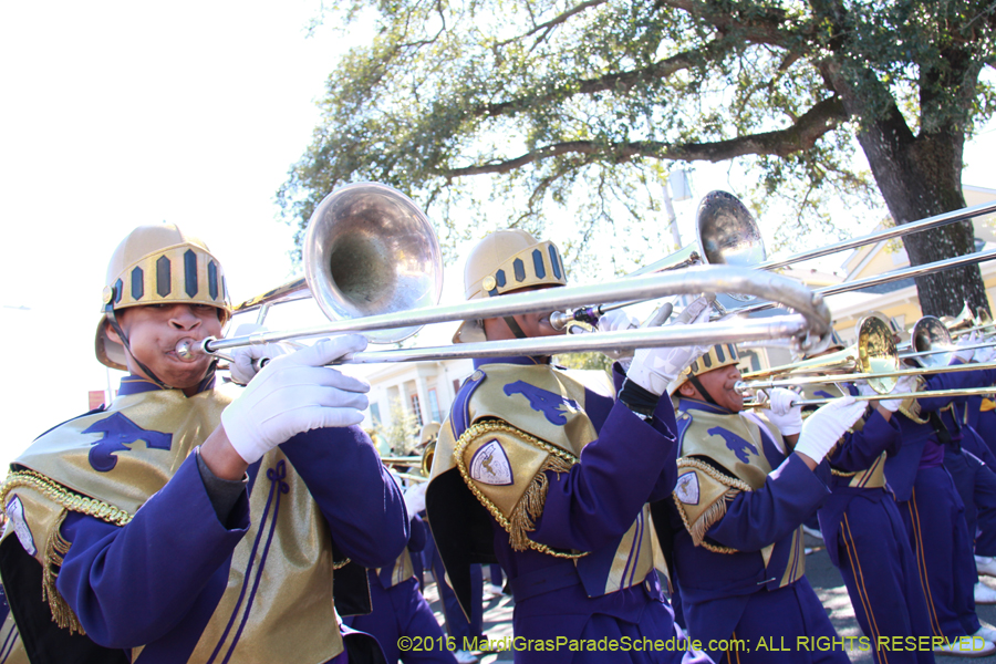 2016-Zulu-Social-Aid-Pleasure-014548