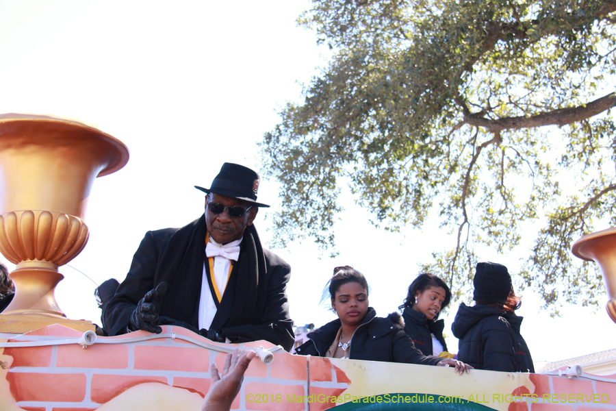 2016-Zulu-Social-Aid-Pleasure-014561