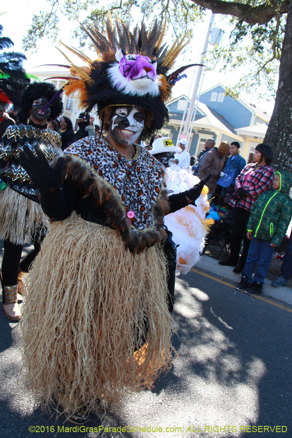 2016-Zulu-Social-Aid-Pleasure-014570