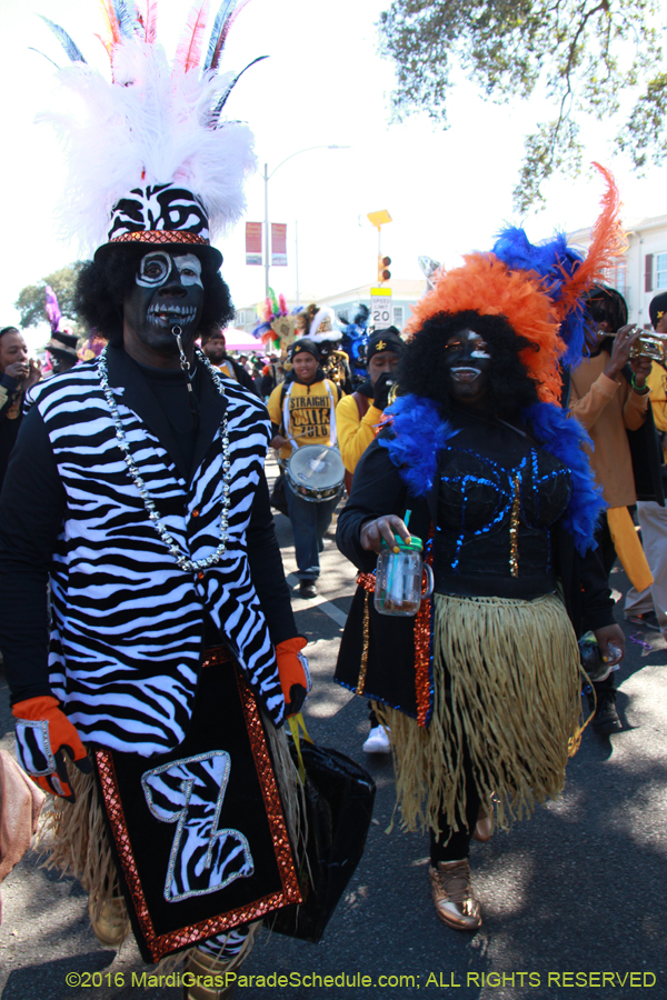 2016-Zulu-Social-Aid-Pleasure-014571