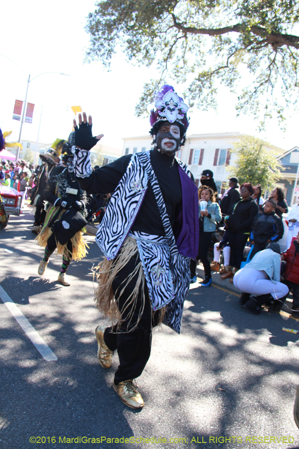 2016-Zulu-Social-Aid-Pleasure-014574