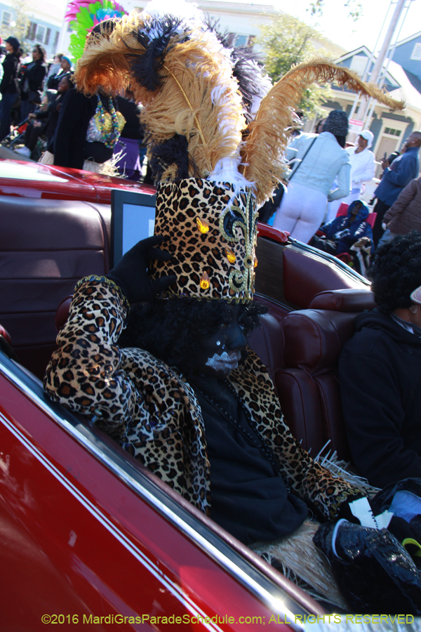 2016-Zulu-Social-Aid-Pleasure-014578