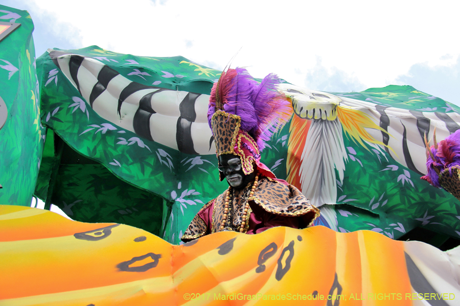 Krewe-of-Zulu-2017-11896