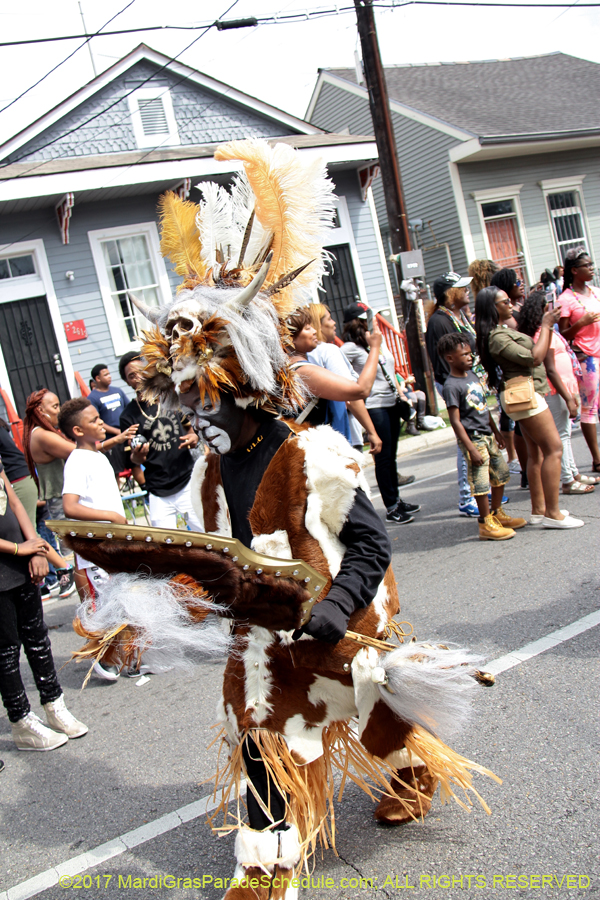 Krewe-of-Zulu-2017-11923