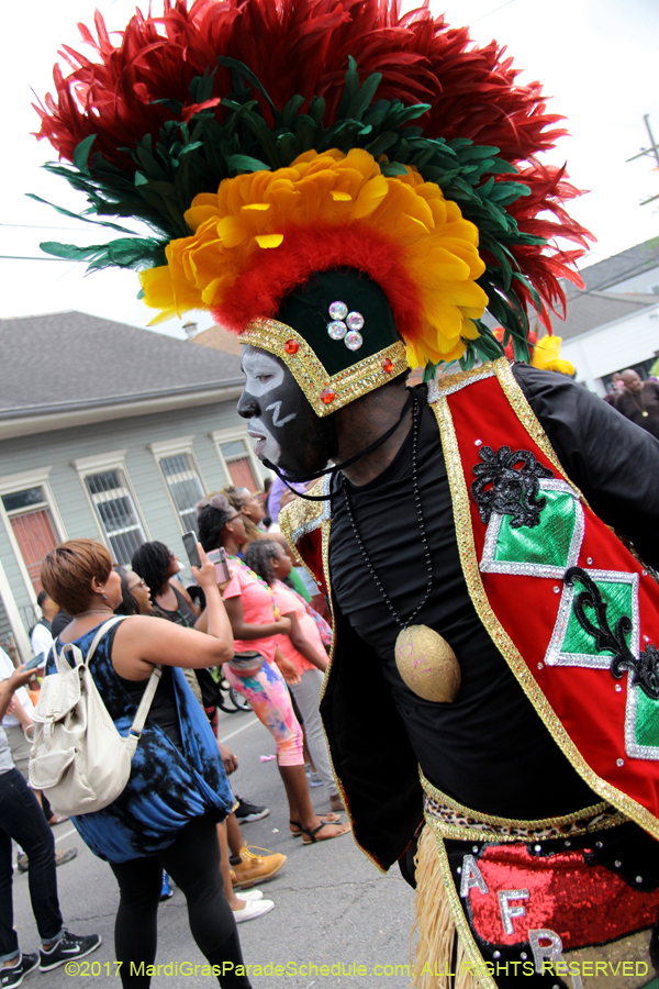 Krewe-of-Zulu-2017-11926