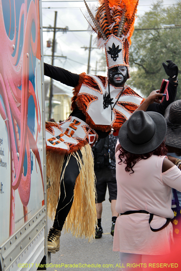 Krewe-of-Zulu-2017-11928