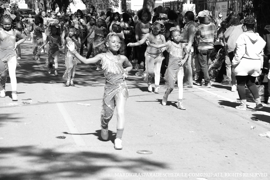 Zulu-SAPC-00313-2022