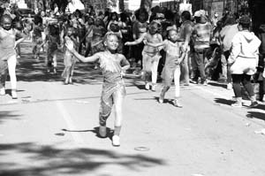 Zulu-SAPC-00313-2022