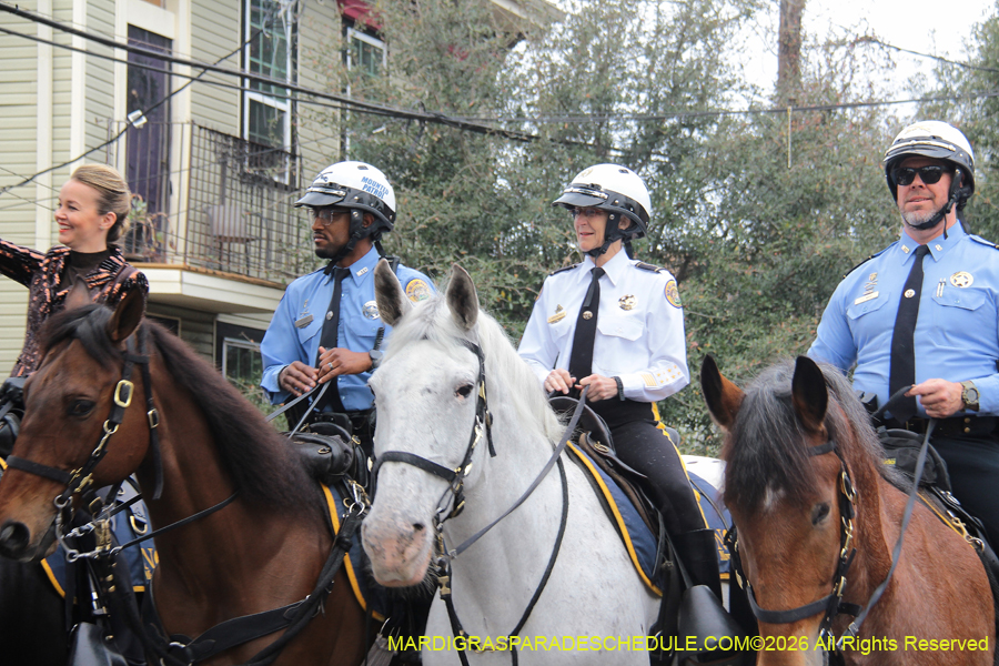 Zulu-SAPC-2026-10915