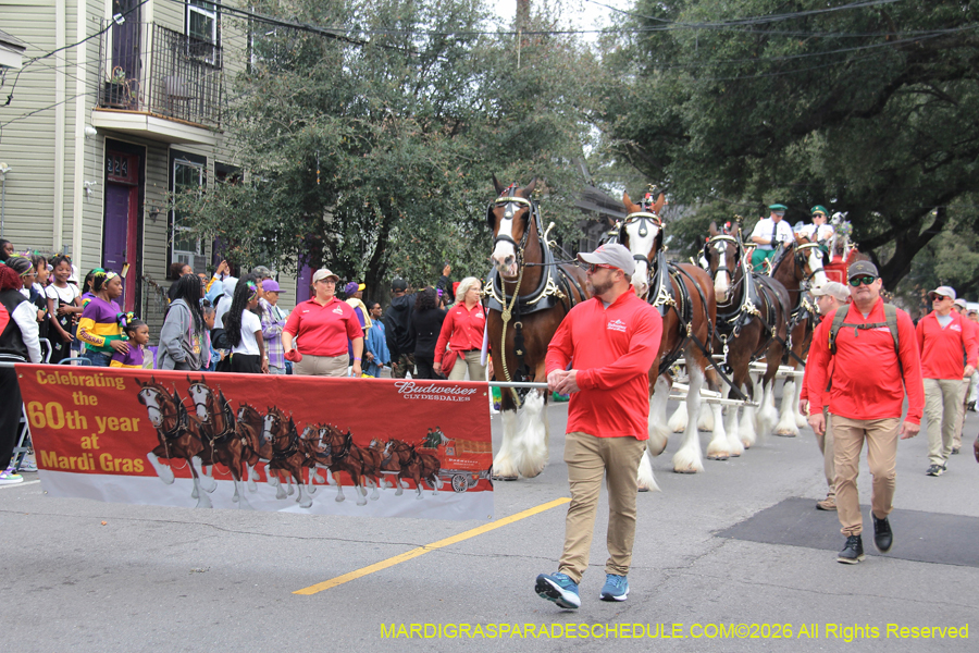 Zulu-SAPC-2026-10922