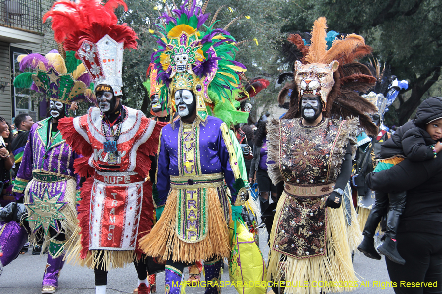 Zulu-SAPC-2026-10932