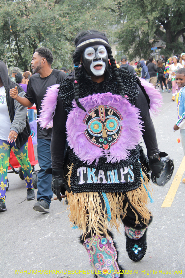 Zulu-SAPC-2026-10940