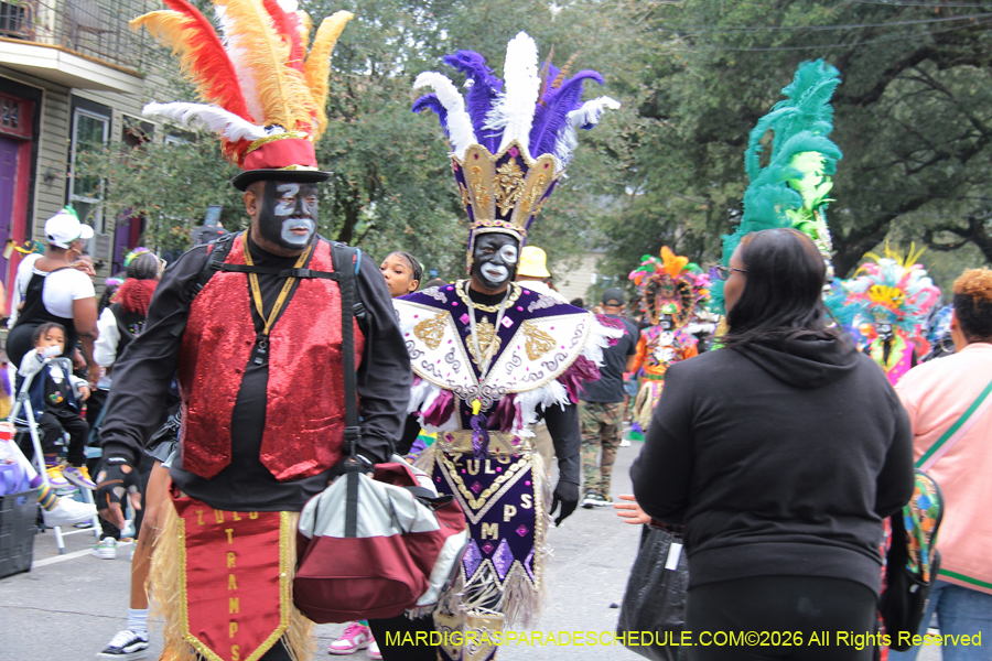 Zulu-SAPC-2026-10953