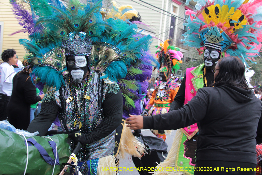 Zulu-SAPC-2026-10955