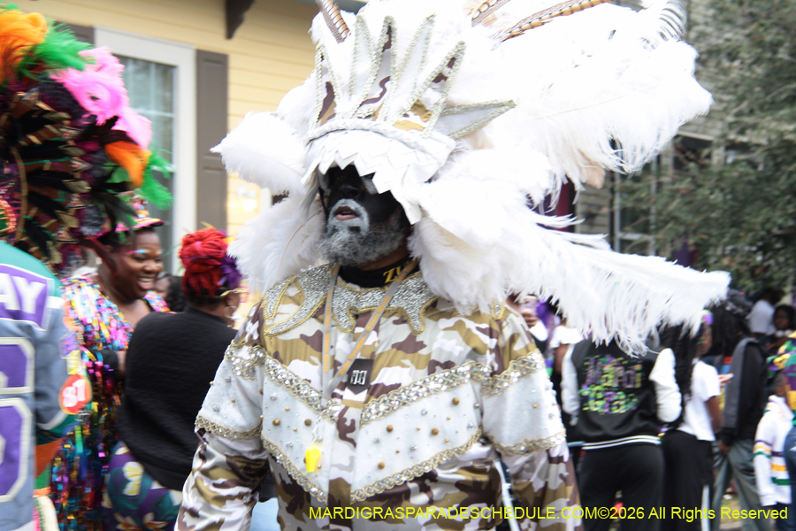 Zulu-SAPC-2026-10956