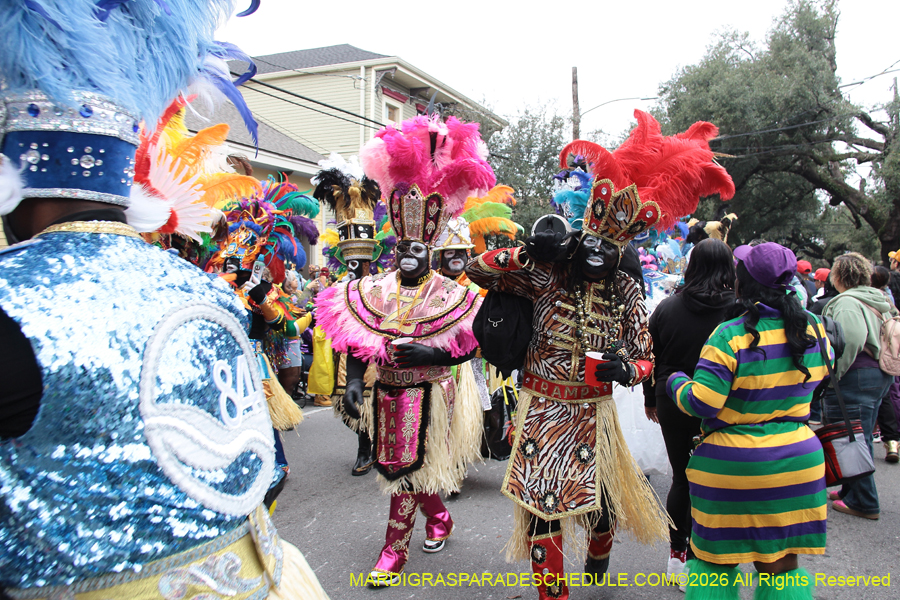 Zulu-SAPC-2026-10958