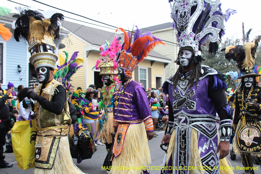 Zulu-SAPC-2026-10960