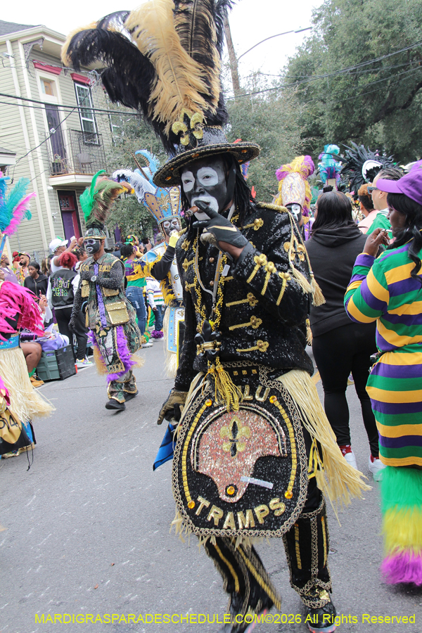 Zulu-SAPC-2026-10961