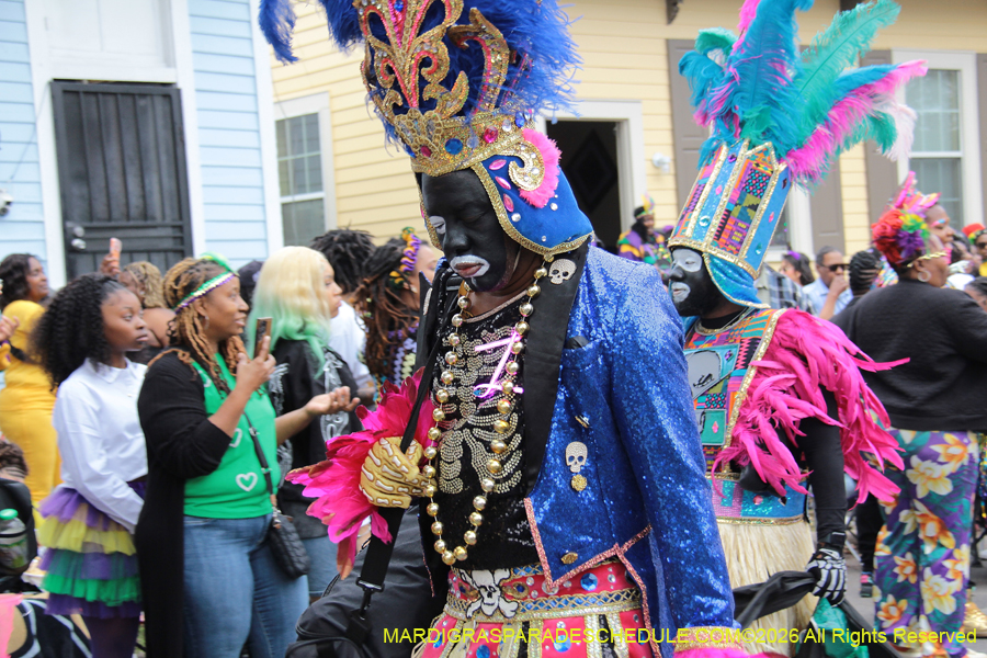 Zulu-SAPC-2026-10962