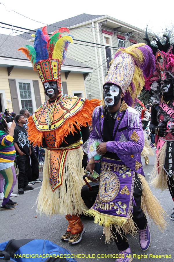 Zulu-SAPC-2026-10964